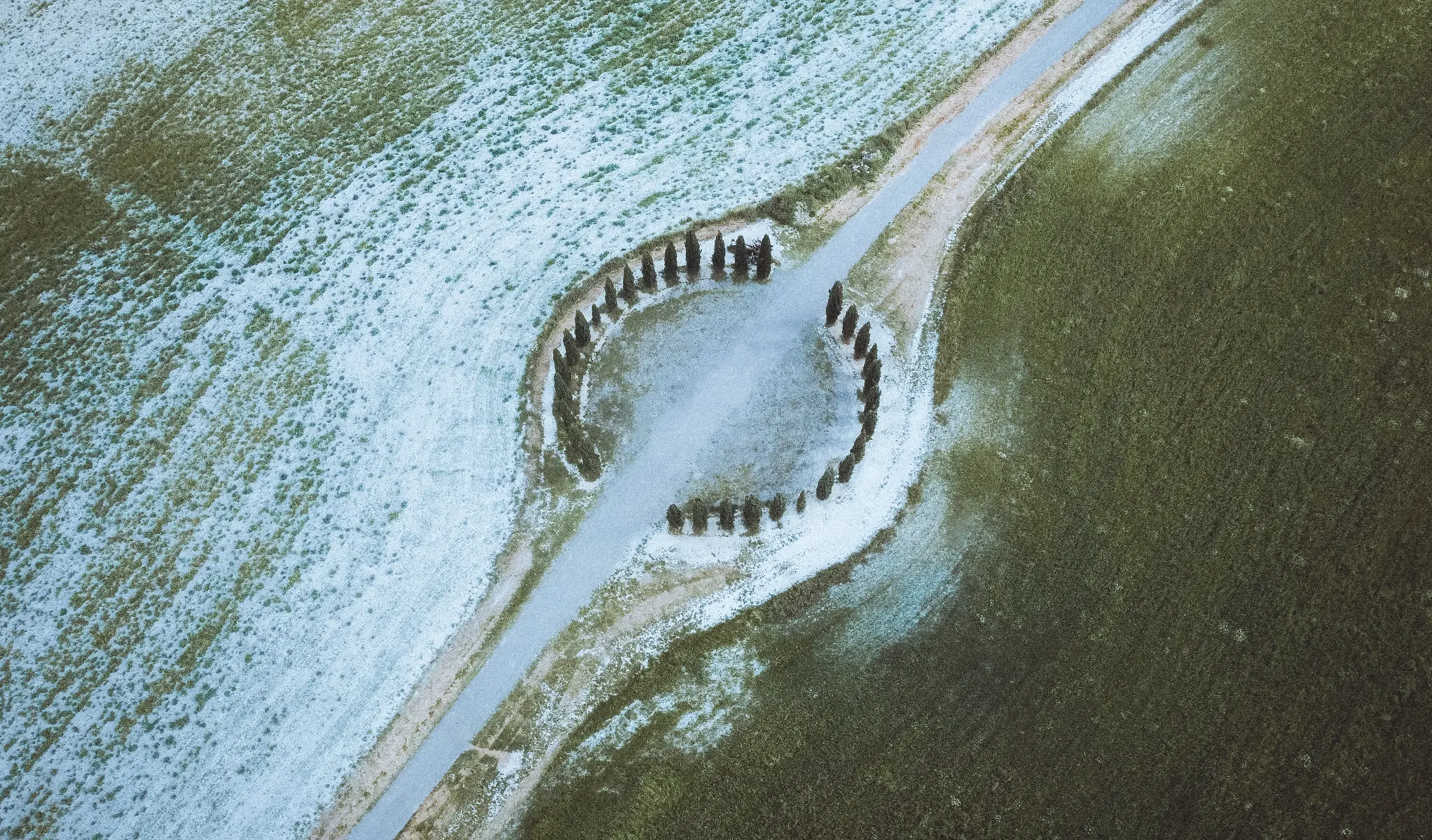Cipressi di San Quirico, Tuscany